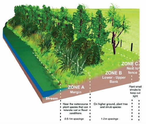 Riparian-image